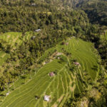 Fiji Rice Terraces