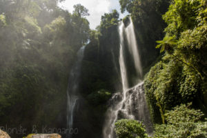 Sekumpul Waterfall