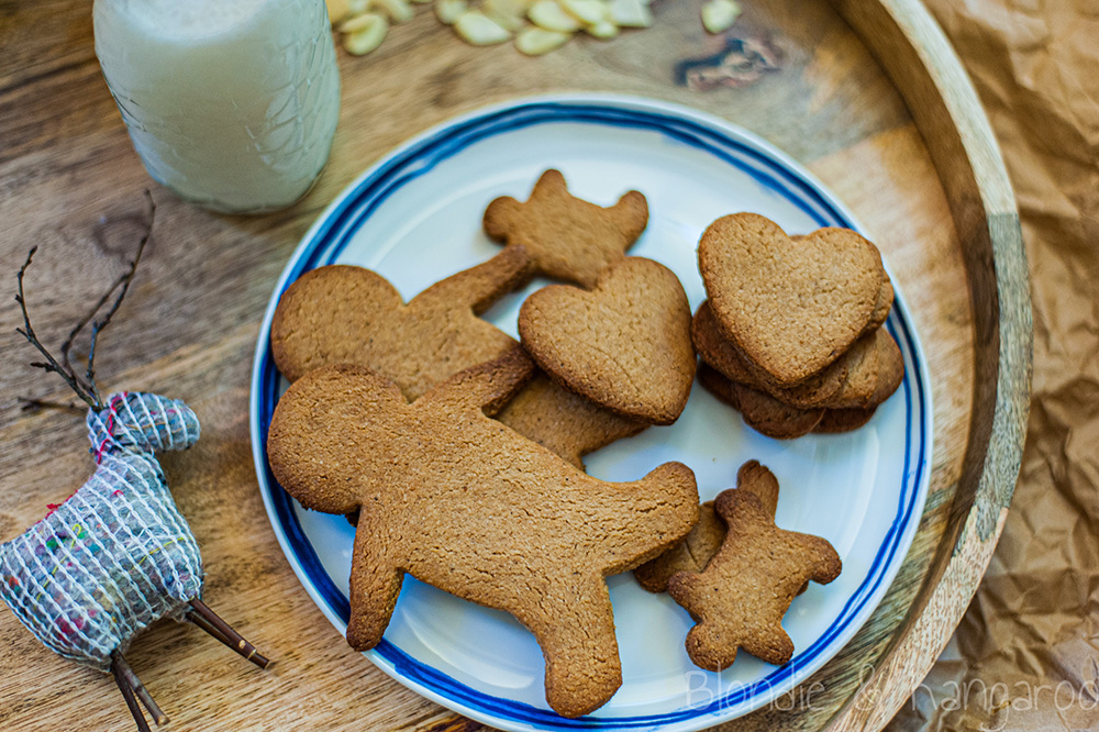 Bezglutenowe pierniczki/Gluten-free gingerbread cookies
