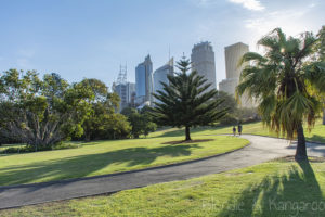 Sydney Royal Botanic Gardens